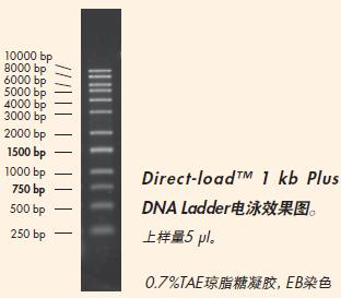 Direct-load™ 1 kb Plus DNA Ladder-M115.png