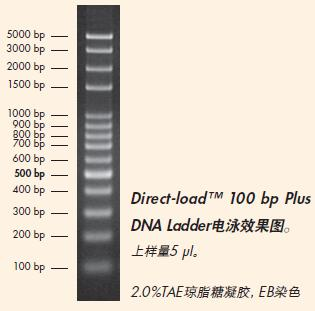 Direct-load™ 100 bp Plus DNA Ladder-M117.png