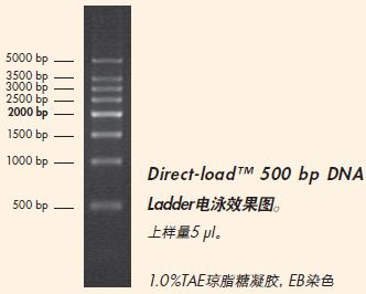 Direct-load™ 500 bp DNA Ladder-M112.png