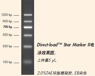 Direct-load™ Star Marker Ⅱ-M126.png