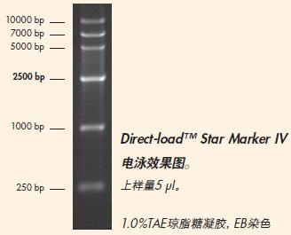 Direct-load™ Star Marker Ⅳ-M128.png