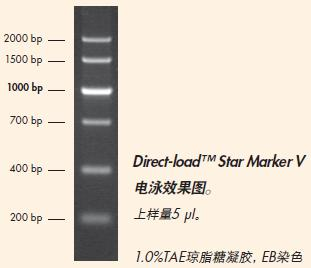 Direct-load™ Star Marker Ⅴ-M129.png