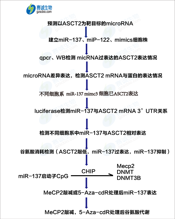 甲基化2 流程图.png