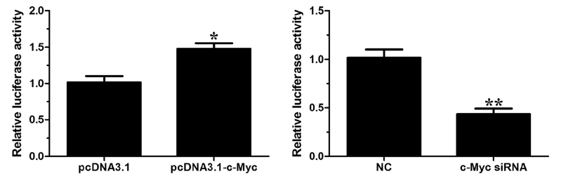 Luciferase.png