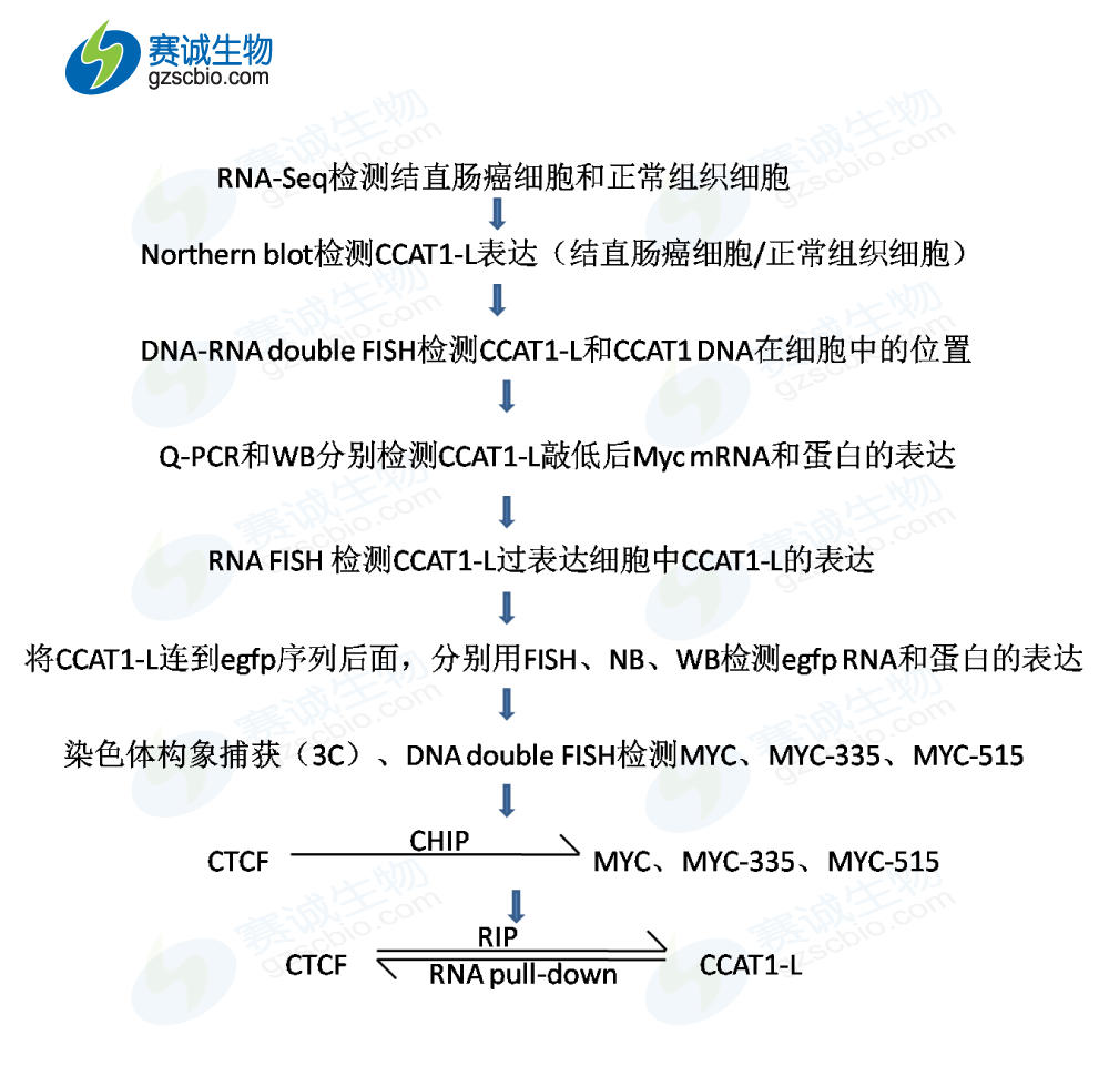 流程图.png