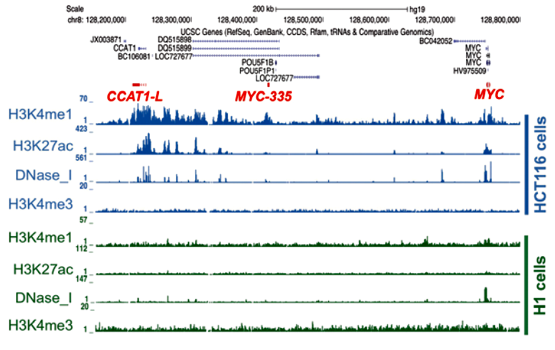 CHIP-seq.png