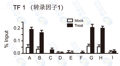 CHIP结果图（Q-PCR）.png