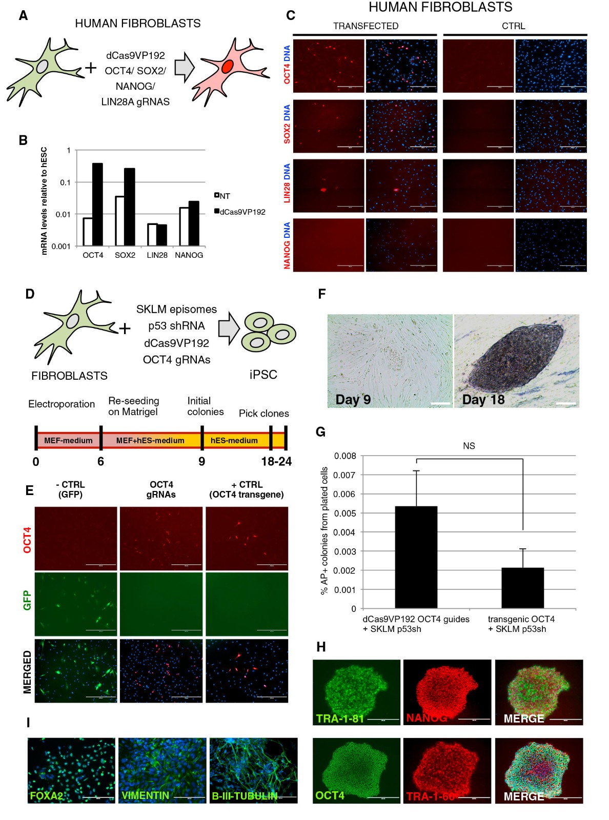 figure 2.jpg