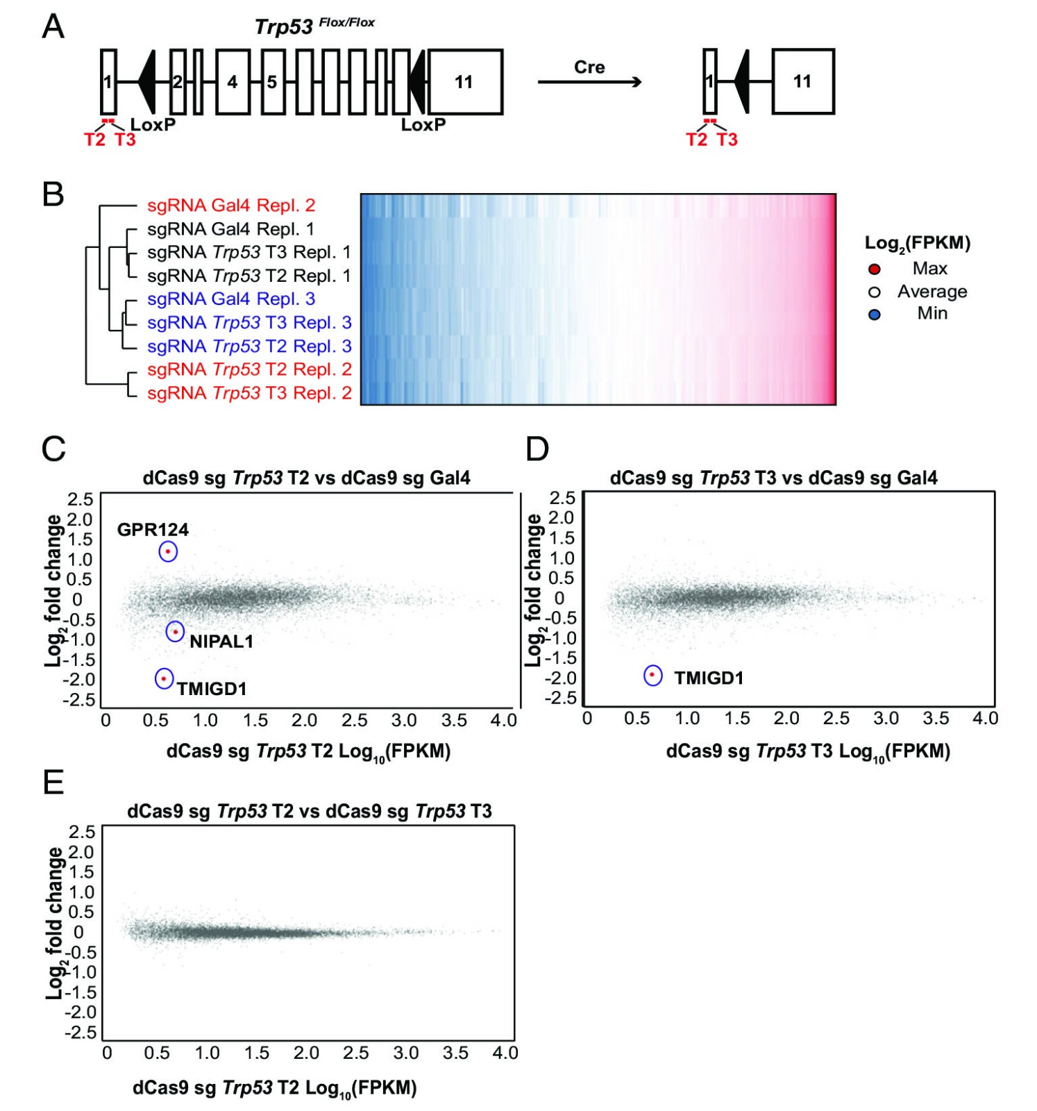 figure 4.jpg