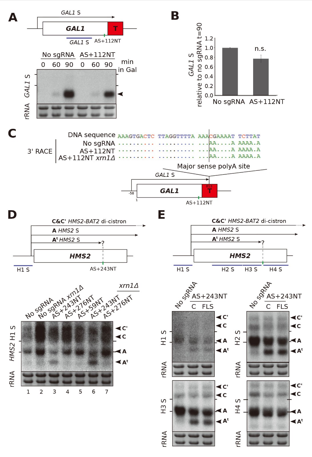 figure 3.jpg